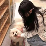 大蓝剑御苍穹手游